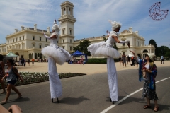 2Long-legged swans in front of Melbourne Government House Opening